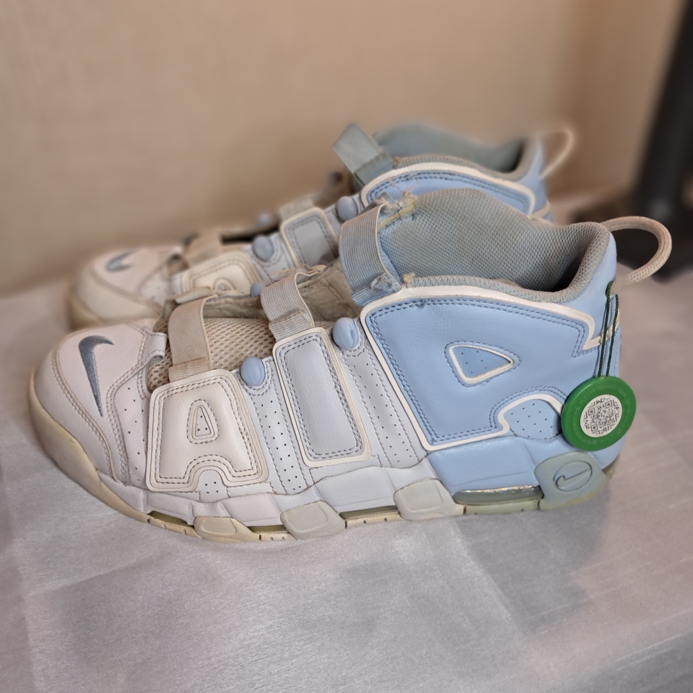 Nike White and Blue Sneakers with Mesh Design